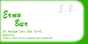 erno bur business card
